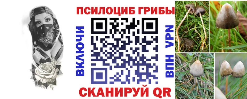 Псилоцибиновые грибы мухоморы  даркнет сайт  Усть-Лабинск 